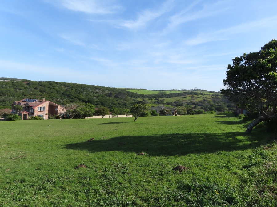 0 Bedroom Property for Sale in Forest Downs Eastern Cape
